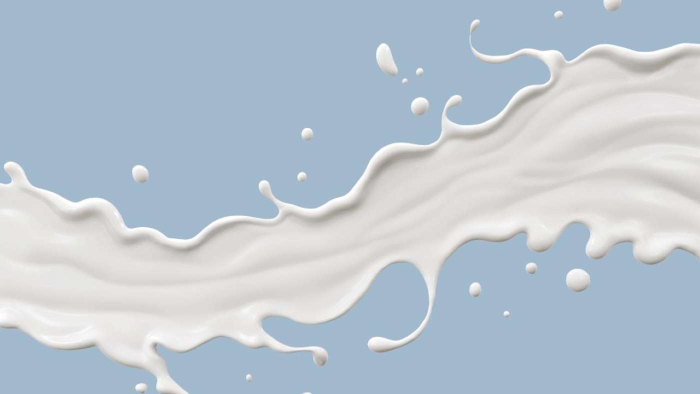 Leche Splash-web2